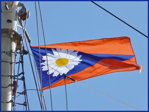 Vlag in top
